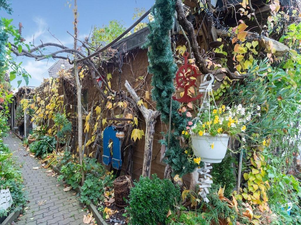 Antique Apartment In Wismar Mecklenburg With Garden Esterno foto