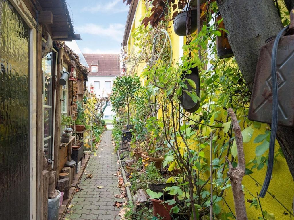 Antique Apartment In Wismar Mecklenburg With Garden Esterno foto